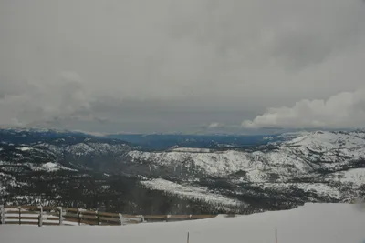 DSC_6705 (Large).JPG